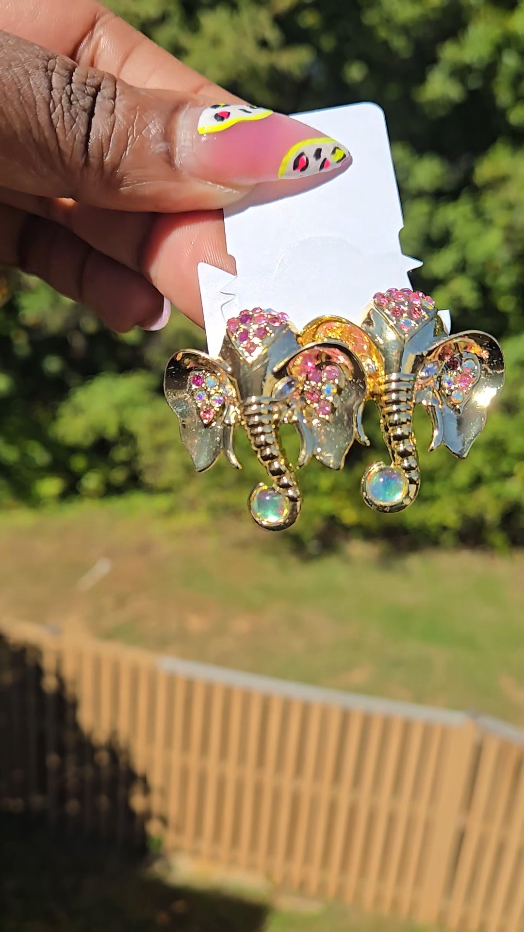 Earrings